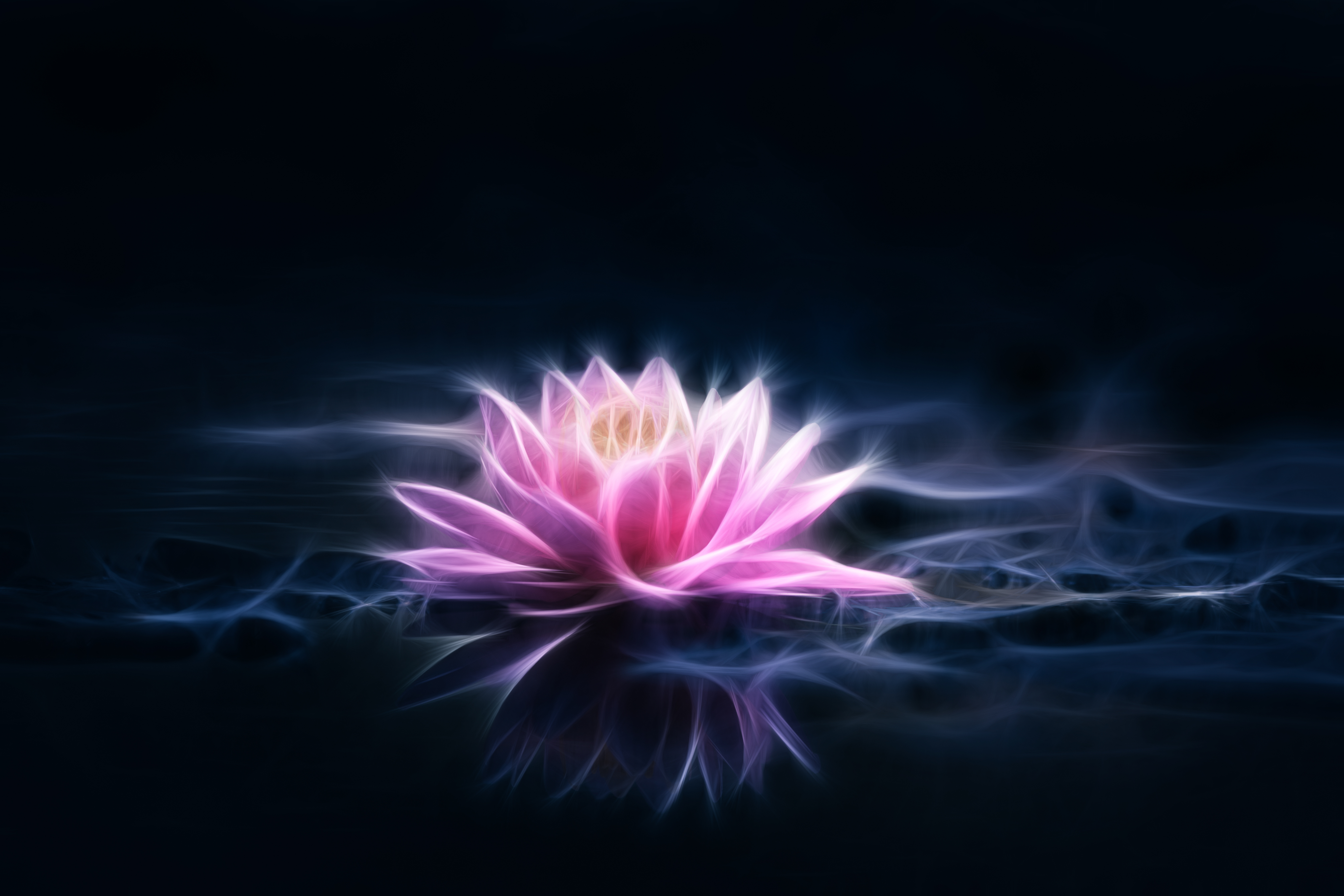 Kirtan no Sri Caitanya Seva Ashram